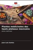 Plantes médicinales des hauts plateaux mexicains