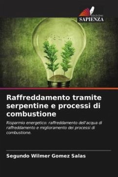 Raffreddamento tramite serpentine e processi di combustione - Gomez Salas, Segundo Wilmer