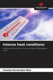Intense heat conditions