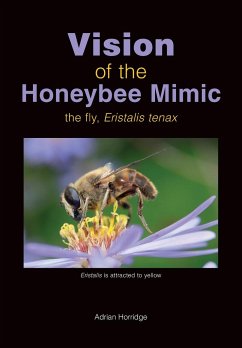Vision of the Honeybee Mimic - Horridge, Adrian