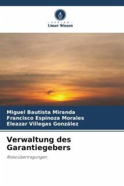 Verwaltung des Garantiegebers - Bautista Miranda, Miguel;Espinoza Morales, Francisco;Villegas González, Eleazar