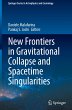 New Frontiers in Gravitational Collapse... - Bild 1
