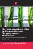 Micropropagação in vitro de Chrysanthemum Chrysanthemun Morifolium