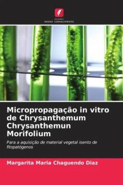 Micropropagação in vitro de Chrysanthemum Chrysanthemun Morifolium - Chaguendo Diaz, Margarita Maria