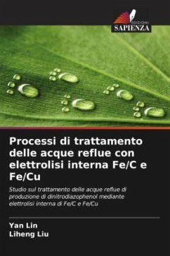 Processi di trattamento delle acque reflue con elettrolisi interna Fe/C e Fe/Cu - Lin, Yan;Liu, Liheng