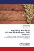 Variability Studies in Induced Mutations of Rabi Sorghum