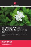Gandhraj: A Viagem Perfumada do Jasmim do Cabo