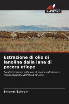 Estrazione di olio di lanolina dalla lana di pecora etiope - Ephrem, Emenet