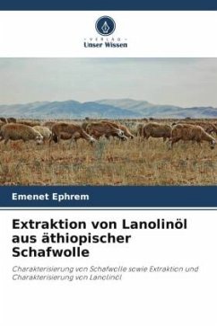 Extraktion von Lanolinöl aus äthiopischer Schafwolle - Ephrem, Emenet