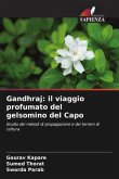 Gandhraj: il viaggio profumato del gelsomino del Capo