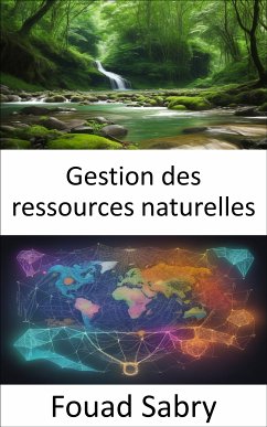 Gestion des ressources naturelles (eBook, ePUB) - Sabry, Fouad