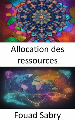 Allocation des ressources (eBook, ePUB) - Sabry, Fouad