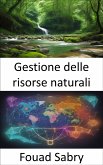 Gestione delle risorse naturali (eBook, ePUB)