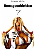 Bumsgeschichten 7 (eBook, ePUB)