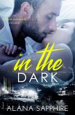 In the Dark: An Office Romance Novella (eBook, ePUB)