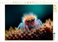 Cover CALVENDO Puzzle Spinne mit langen Wimpern - Lustige Mikroorganismen   2000 Teile Lege-Größe 90x67cm Foto-Puzzle für glüc