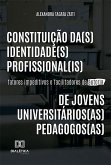 Constituição da(s) identidade(s) profissional(is) de jovens universitários(as) pedagogos(as) (eBook, ePUB)