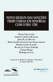 Novo Desing das sanções tributárias em sinergia com o IBS/CBS (eBook, ePUB)