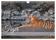 Tiger von Ranthambore (Wandkalender 2025 DIN A4 quer), CALVENDO Monatskalender