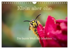 Klein aber oho. Die bunte Welt der Insekten (Wandkalender 2025 DIN A4 quer), CALVENDO Monatskalender - Calvendo