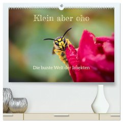 Klein aber oho. Die bunte Welt der Insekten (hochwertiger Premium Wandkalender 2025 DIN A2 quer), Kunstdruck in Hochglanz