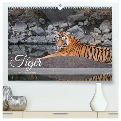 Tiger von Ranthambore (hochwertiger Premium Wandkalender 2025 DIN A2 quer), Kunstdruck in Hochglanz