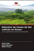 Sélection de clones de thé cultivés au Kenya