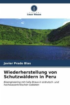 Wiederherstellung von Schutzwäldern in Peru - Prado Blas, Javier