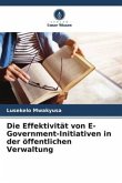 Die Effektivität von E-Government-Initiativen in der öffentlichen Verwaltung