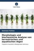 Morphologie und biochemische Analyse von terrestrischen und aquatischen Algen