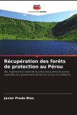 Récupération des forêts de protection au Pérou