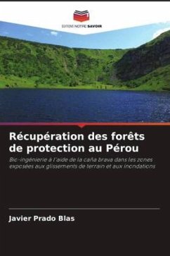 Récupération des forêts de protection au Pérou - Prado Blas, Javier