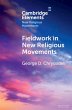 Fieldwork in New Religious Movements - Bild 1