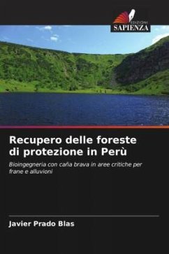 Recupero delle foreste di protezione in Perù - Prado Blas, Javier