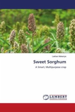 Sweet Sorghum - Mokariya, Lakhan