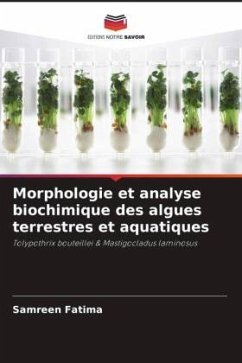 Morphologie et analyse biochimique des algues terrestres et aquatiques - Fatima, Samreen