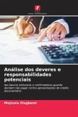 Análise dos deveres e responsabilidades potenciais