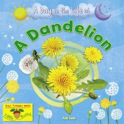 Cover A Dandelion