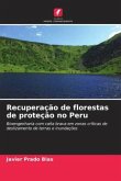 Recuperação de florestas de proteção no Peru