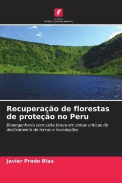 Recuperação de florestas de proteção no Peru - Prado Blas, Javier