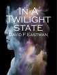 In A Twilight State (eBook, ePUB) - Bild 1