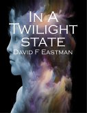 In A Twilight State (eBook, ePUB)