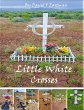 Little White Crosses (eBook, ePUB) - Bild 1