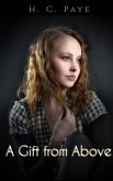 A Gift From Above (eBook, ePUB)