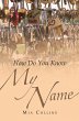 How Do You Know My Name? (eBook, ePUB) - Bild 1