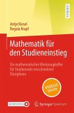 Mathematik für den Studieneinstieg (eBook, PDF)