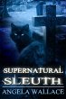 Supernatural Sleuth, Case File #1... - Bild 1