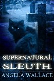 Supernatural Sleuth, Case File #1 (eBook, ePUB)