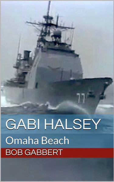 Gabi Halsey - Omaha Beach (eBook, ePUB)
