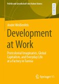 Development at Work (eBook, PDF)